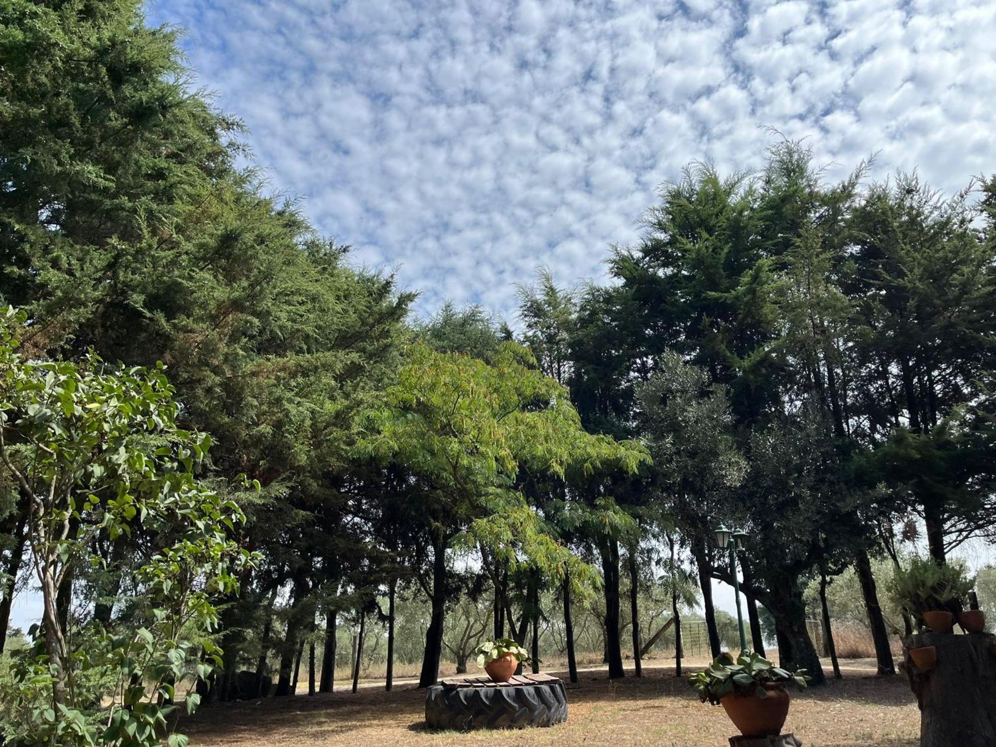Villa Quinta Santo Antonio do Rio Celorico Da Beira Esterno foto